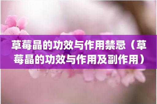 草莓晶的功效与作用禁忌（草莓晶的功效与作用及副作用）