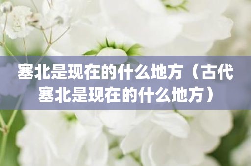 塞北是现在的什么地方（古代塞北是现在的什么地方）