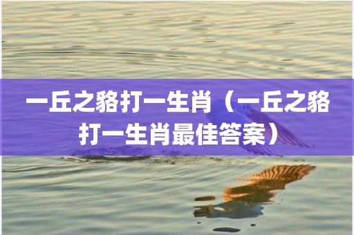 一丘之貉打一生肖（一丘之貉打一生肖最佳答案）