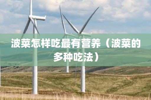波菜怎样吃最有营养（波菜的多种吃法）