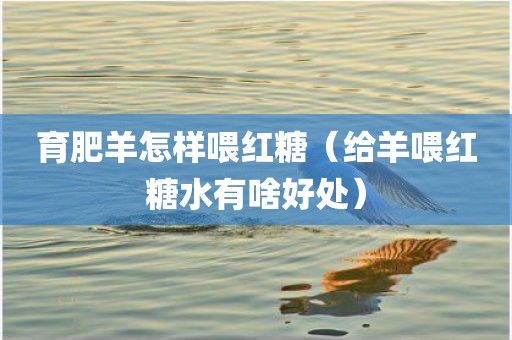 育肥羊怎样喂红糖（给羊喂红糖水有啥好处）