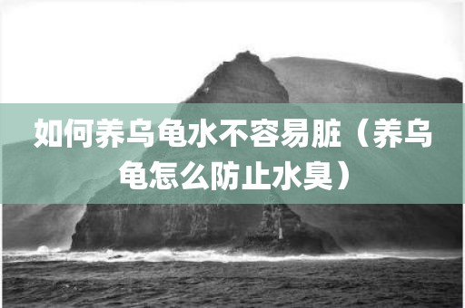 如何养乌龟水不容易脏（养乌龟怎么防止水臭）