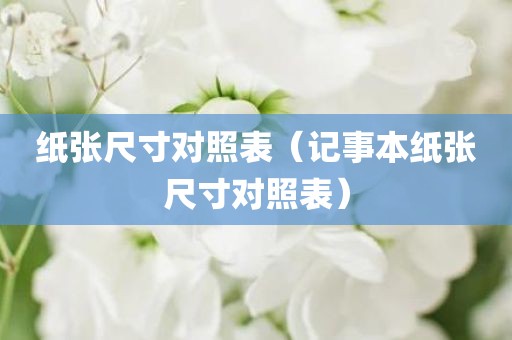 纸张尺寸对照表（记事本纸张尺寸对照表）