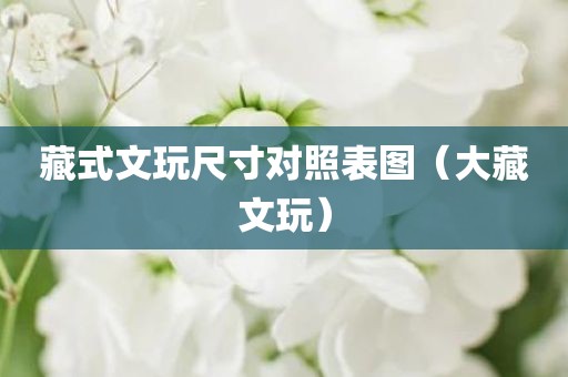 藏式文玩尺寸对照表图（大藏文玩）