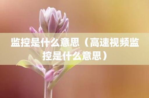 监控是什么意思（高速视频监控是什么意思）