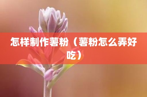 怎样制作薯粉（薯粉怎么弄好吃）