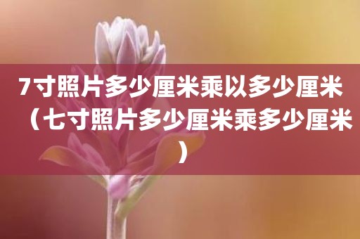 7寸照片多少厘米乘以多少厘米（七寸照片多少厘米乘多少厘米）
