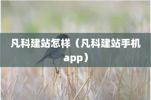 凡科建站怎样（凡科建站手机app）