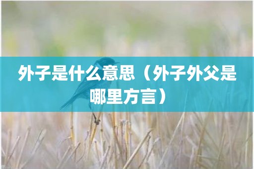 外子是什么意思（外子外父是哪里方言）