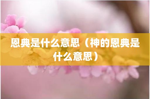恩典是什么意思（神的恩典是什么意思）