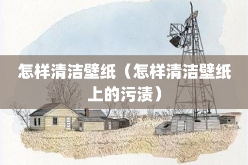 怎样清洁壁纸（怎样清洁壁纸上的污渍）