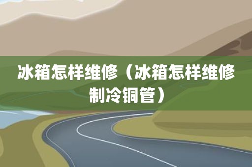 冰箱怎样维修（冰箱怎样维修制冷铜管）
