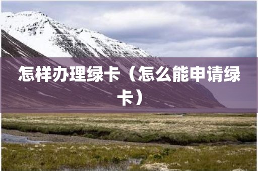 怎样办理绿卡（怎么能申请绿卡）