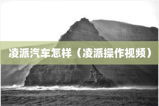 凌派汽车怎样（凌派操作视频）