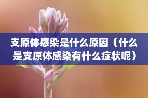 支原体感染是什么原因(什么是支原体感染有什么症状呢)