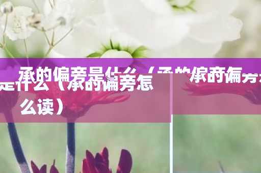 承的偏旁是什么（承的偏旁怎么读）