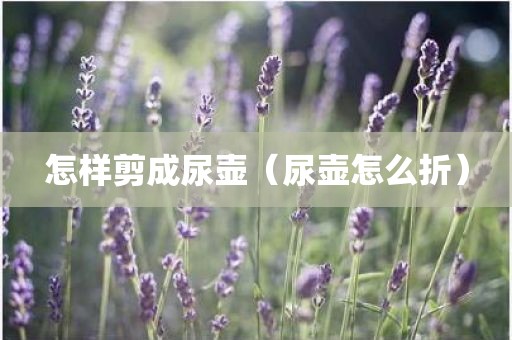 怎样剪成尿壶（尿壶怎么折）
