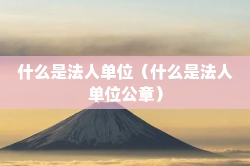什么是法人单位（什么是法人单位公章）