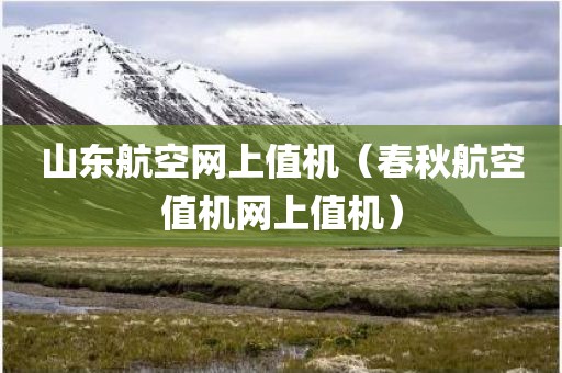 山东航空网上值机(春秋航空值机网上值机)