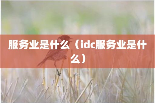 服务业是什么（idc服务业是什么）