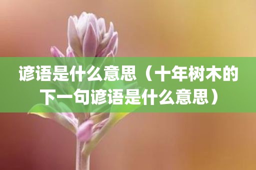谚语是什么意思（十年树木的下一句谚语是什么意思）