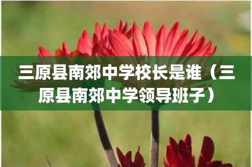 三原县南郊中学校长是谁（三原县南郊中学领导班子）