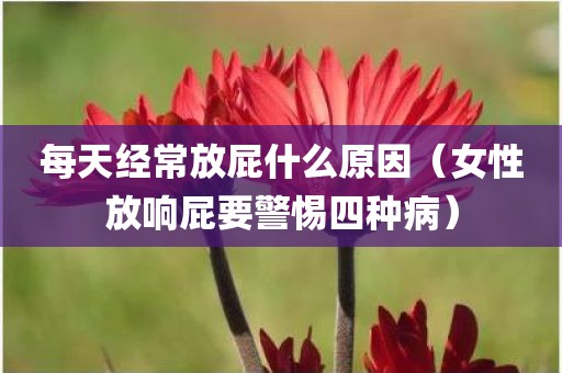 每天经常放屁什么原因（女性放响屁要警惕四种病）