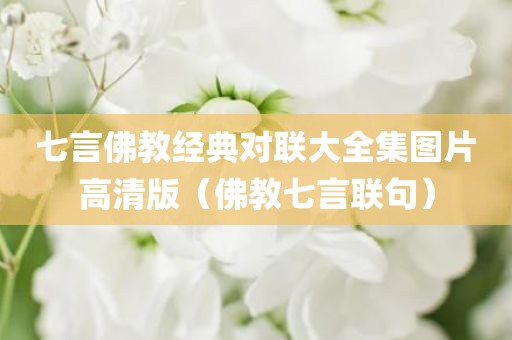 七言佛教经典对联大全集图片高清版(佛教七言联句)