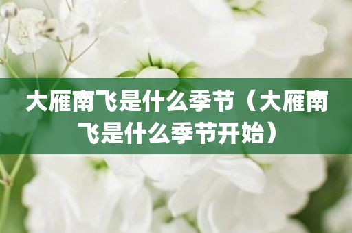 大雁南飞是什么季节（大雁南飞是什么季节开始）