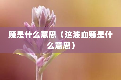 赚是什么意思（这波血赚是什么意思）