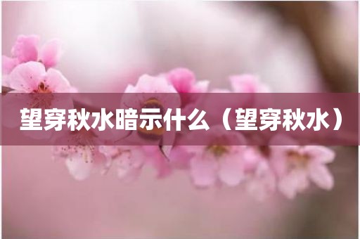 望穿秋水暗示什么（望穿秋水）