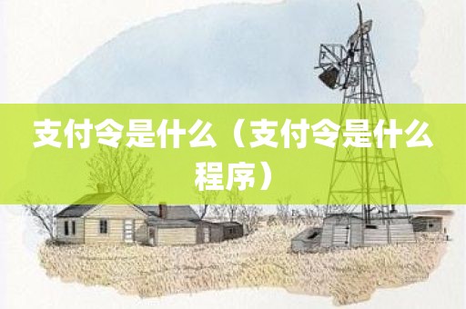 支付令是什么（支付令是什么程序）