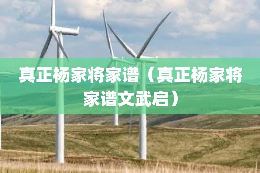 真正杨家将家谱（真正杨家将家谱文武启）