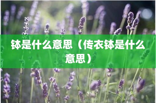 钵是什么意思（传衣钵是什么意思）
