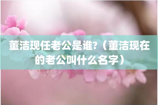 董洁现任老公是谁?（董洁现在的老公叫什么名字）
