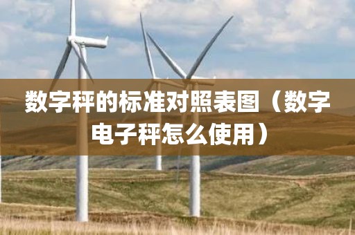 数字秤的标准对照表图（数字电子秤怎么使用）