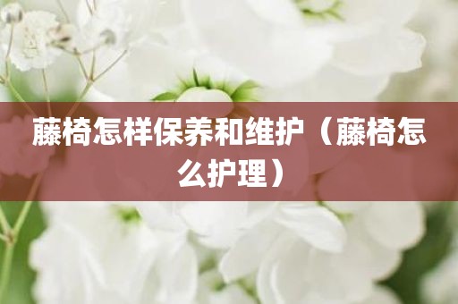 藤椅怎样保养和维护（藤椅怎么护理）