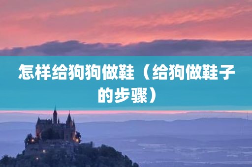 怎样给狗狗做鞋（给狗做鞋子的步骤）