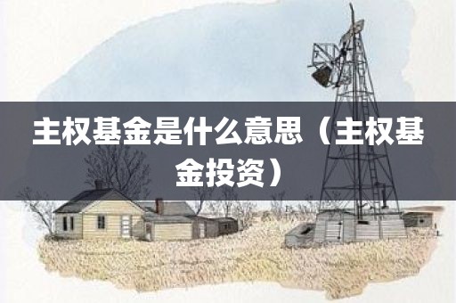 主权基金是什么意思（主权基金投资）