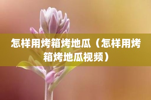 怎样用烤箱烤地瓜（怎样用烤箱烤地瓜视频）