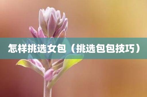 怎样挑选女包（挑选包包技巧）