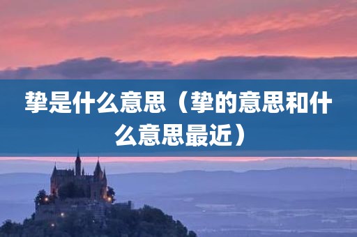 挚是什么意思(挚的意思和什么意思最近)