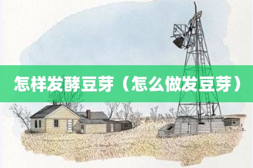 怎样发酵豆芽（怎么做发豆芽）