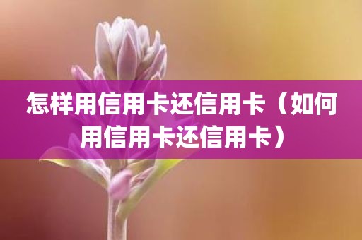 怎样用信用卡还信用卡（如何用信用卡还信用卡）