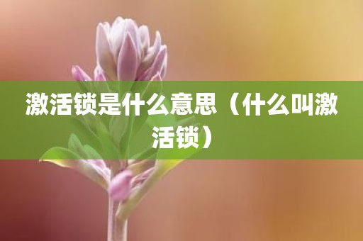 激活锁是什么意思（什么叫激活锁）