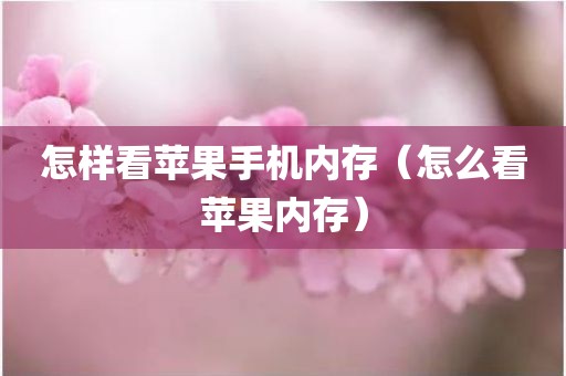 怎样看苹果手机内存（怎么看苹果内存）