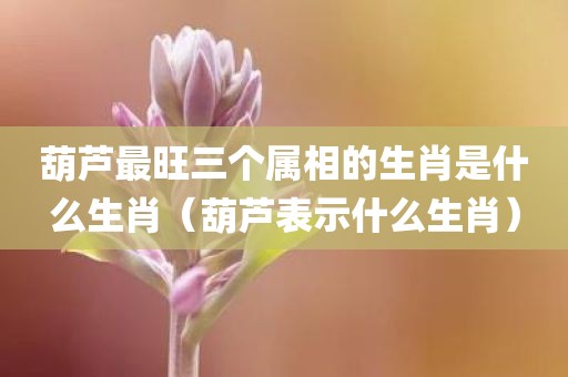 葫芦最旺三个属相的生肖是什么生肖（葫芦表示什么生肖）