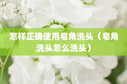 怎样正确使用皂角洗头（皂角洗头怎么洗头）