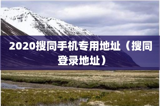 2020搜同手机专用地址（搜同 登录地址）