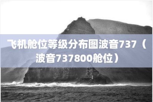飞机舱位等级分布图波音737(波音737800舱位)